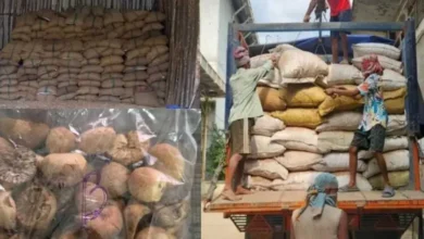 Photo of DRI seizes 60,000 kg smuggled foreign origin areca nuts in North-East region; 5 held