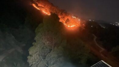 Photo of Uttarakhand recorded 375 forest fires in past three months; Chamoli worst hit