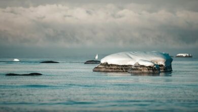 Photo of Arctic ocean passes ‘irreversible’ chemical tipping point