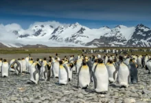 Photo of Scientists just found a lost river world buried beneath Antarctica’s ice for 34 million years