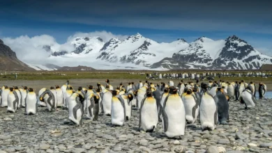 Photo of Scientists just found a lost river world buried beneath Antarctica’s ice for 34 million years