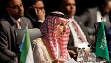 Photo of International Big Cat Alliance welcomes Saudi Arabia as newest Member Country