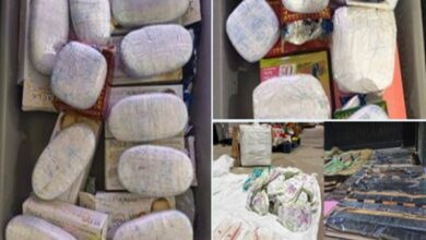 Photo of DRI Seizes Over 24 Kilograms of Narcotic Drugs & Psychotropic Substances in Kerala Under Operation Chakravyuh