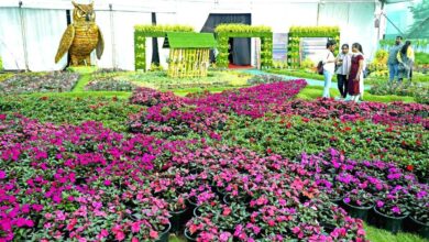 Photo of UP’s first ‘Centre of Excellence for Flowers’ to be established in Ayodhya