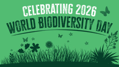 Photo of The world celebrates International Day of Biodiversity today