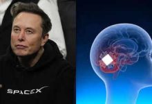 Photo of China beats Elon Musk’s ‘Jesus-level technology’ to launch world’s first commercial brain chip