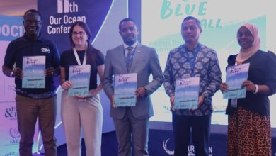 Photo of Great Blue Wall report showcases five years of impact on ocean regeneration across the Western Indian Ocean
