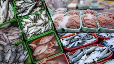 Photo of India’s Seafood Exports Reach Record High of ₹73,890 Crore in FY 2025–26