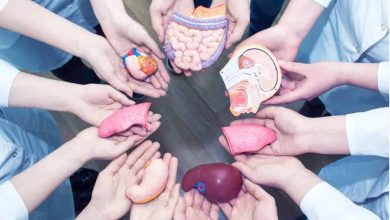 Photo of India Achieves Landmark Milestone of 5 Lakh Organ Donation Pledges