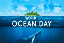 Photo of World Ocean Day is celebrated annually on June 8