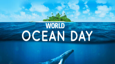 Photo of World Ocean Day is celebrated annually on June 8