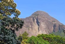 Photo of SC orders removal of encroachment from Agasthyamalai ecological landscape