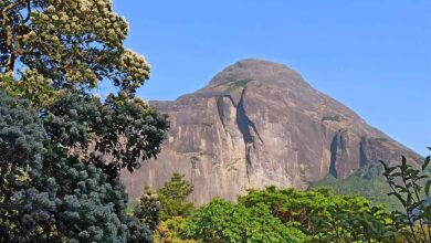 Photo of SC orders removal of encroachment from Agasthyamalai ecological landscape