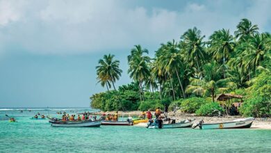 Photo of Alcohol sales allowed in Muslim-majority Lakshadweep