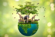 Photo of National Biodiversity Authority Reconstitutes Agrobiodiversity Expert Committee