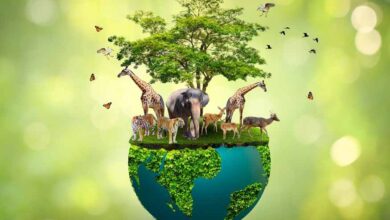 Photo of National Biodiversity Authority Reconstitutes Agrobiodiversity Expert Committee