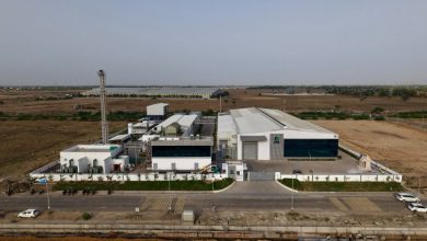 Photo of Chips manufactured at CG Semi plant to be exported to Japan, US, Europe