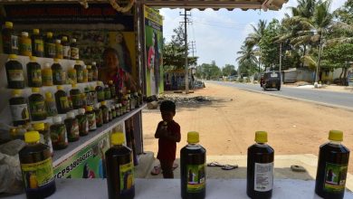 Photo of Hakki-Pikki woman accused of ‘selling daughter’ in Senegal