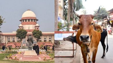 Photo of Supreme Court Stays Madras High Court’s Order Banning Cow Slaughter In Tamil Nadu