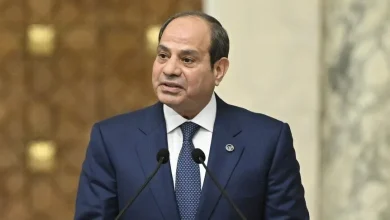 Photo of Egypt eyes land reclamation projects in Tanzania
