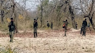 Photo of गया : मुखबिरी के आरोप में नक्सलियों ने चार लोगों को फांसी पर लटकाया