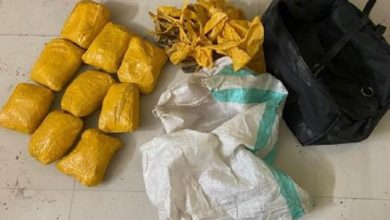 Photo of पाकिस्तान ने ड्रोन से भारत में गिराई 74 करोड़ रुपये की हेरोइन