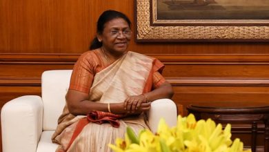 Photo of जंगल का चीरहरण रोक देना द्रोपदी !