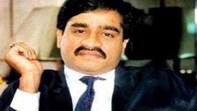 Photo of अंडरवर्ल्ड डॉन दाऊद इब्राहिम के खिलाफ भारत में कार्रवाई तेज : ब्यूरो