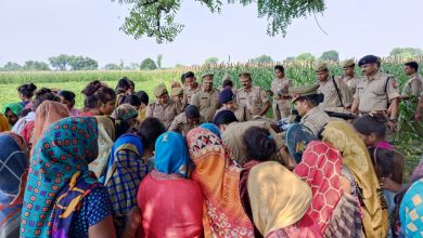 Photo of बाजरे के खेत में मिला किशोरी का शव, दुष्कर्म के बाद हत्या की आशंका