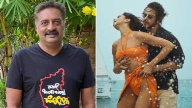 Photo of पठान जैसे विवाद सरकार पर भी उठाते हैं सवाल