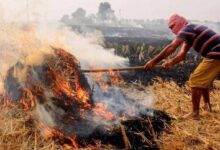 Photo of यूपी में 65 प्रतिशत तक घटीं पराली जलाने की घटनाएं