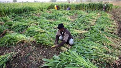 Photo of यूपी की कृषि संस्कृति से अवगत होंगे दो लाख से अधिक किसान