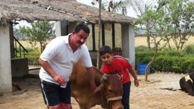 Photo of योगी का विश्वास और सूचना का सौभाग्य शिशिर