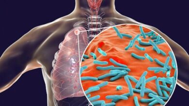 Photo of योगी सरकार के विशेष अभियान में निजी अस्पताल के 8671 टीबी मरीज नोटिफाई