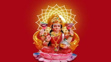 Photo of मां लक्ष्मी की चाहते हैं विशेष कृपा तो घर में रखें ये चीजें