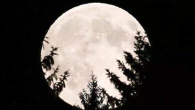 Photo of ज्येष्ठ अमावस्या पर बना है गजब का संयोग, जरूर करें ये काम, होगा महालाभ!