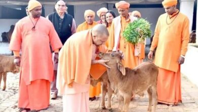 Photo of ठंड से किसी गोवंश की मृत्यु न हो, गौ आश्रय स्थलों में विशेष इंतजाम कर रही योगी सरकार