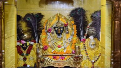 Photo of  शत्रु-रोग पर विजय पाने के लिए करें इन मंत्रों का जाप, मां बगुलामुखी का मिलेगा आशीर्वाद