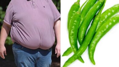 Photo of क्या हरी मिर्च खाने से होता हैं Weight Loss? जानें मिथ vs फैक्ट