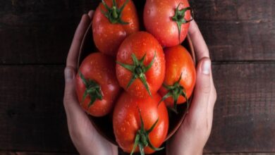 Photo of बारिश में तेजी से बढ़ रहे दाम, जानिए बिना टमाटर की कैसे बनाएं सब्जी