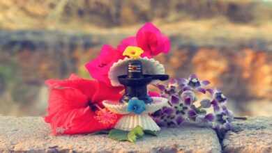 Photo of सावन के दौरान सभी 9 ग्रहों को प्रसन्न करने के लिए करें ये उपाय, दूर होंगी परेशानियां