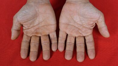 Photo of  हथेली की इस रेखा से बनता है सरकारी नौकरी का योग, जानिए क्या कहता है हस्तरेखा शास्त्र