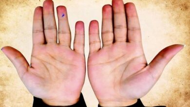 Photo of  हाथों की रेखा देखकर खुद जानें किस उम्र में मिलेगा आपको धनलाभ 