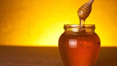 Photo of स्किन प्रॉब्लम के लिए किसी रामबाण से कम नहीं है शहद, ऐसे करें इसका इस्तेमाल