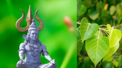 Photo of हरियाली अमावस्या पर जरूर करें ये काम, बदल जाएगी किस्मत!