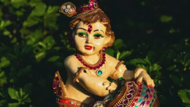 Photo of  कृष्ण जन्माष्टमी 2024 कब है? जानें तिथि, पूजा समय और शुभ योग