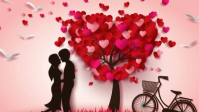 Photo of  इन राशियों का आज चमकेगा भाग्य, दिन रहेगा शानदार, जानें अपनी राशि का हाल