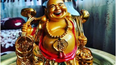 Photo of धन-दौलत और तरक्की के लिए घर की इस दिशा में रखें लाफिंग बुद्धा