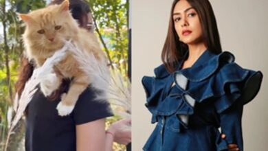 Photo of उत्तराखंड में अपने खास दोस्तों संग समय बिताती दिखीं मृणाल ठाकुर