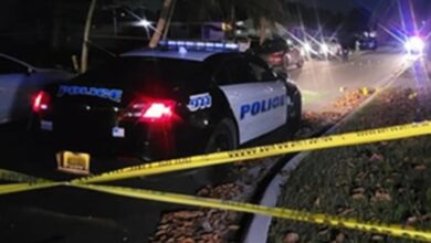 Photo of अमेरिका: चोरी की कार में सवार होकर ट्रंप के घर पहुंचा एक शख्स, नव निर्वाचित राष्ट्रपति से करना चाहता था बात, गिरफ्तार